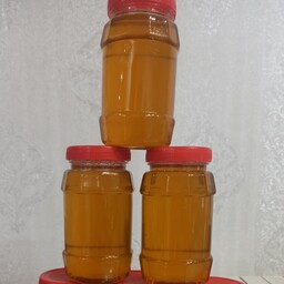  عسل یک کیلویی درجه یک خالص وناب تهیه شده از  گلهای گیاه گون عسلِ بهبودسلامتی