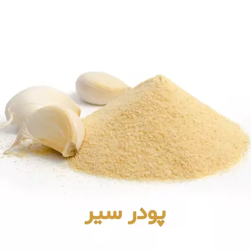 پودر سیر 100 گرمی