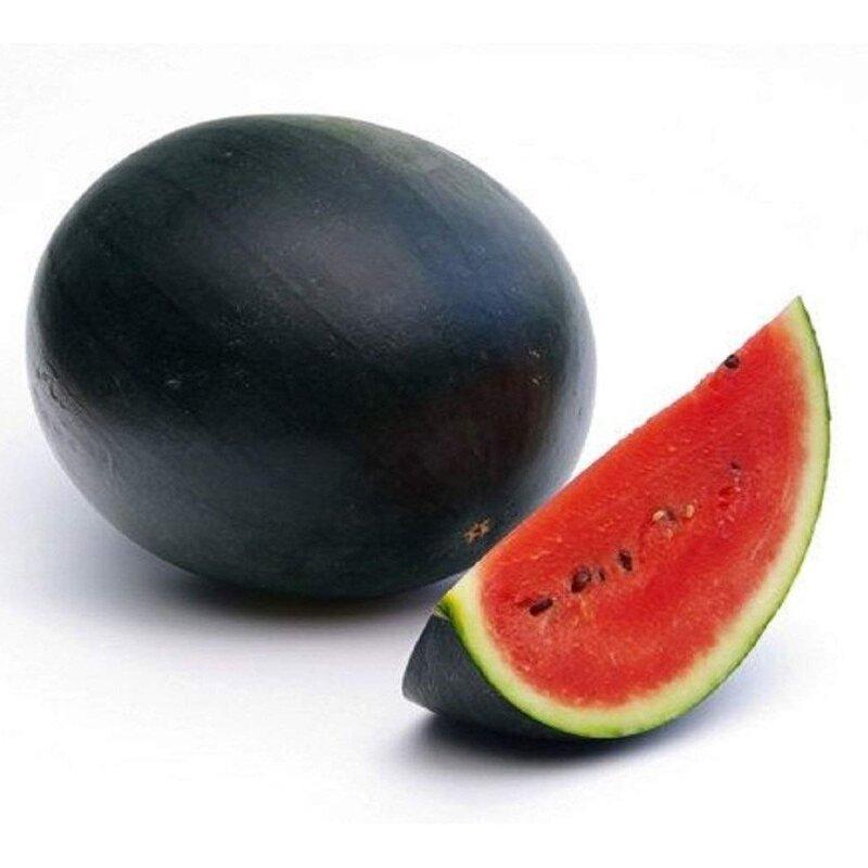 بذر هندوانه  سیاه دیمی