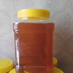 عسل شهد جنگلی ارسباران(دو کیلویی)