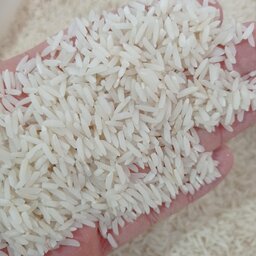 برنج هاشمی درجه یک(10 کیلویی)