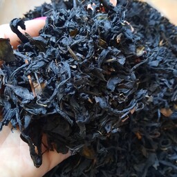 چای ممتاز لاهیجان بهار1402 چین اول(خانگی)(500 گرمی)