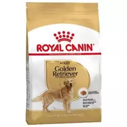 غذای خشک سگ رویال کنین مدل Golden Retriver Adult وزن 12 کیلوگرم