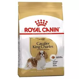 غذای خشک سگ رویال کنین مدل CAVALIER KING CHARLES ADULT 1.5 KG