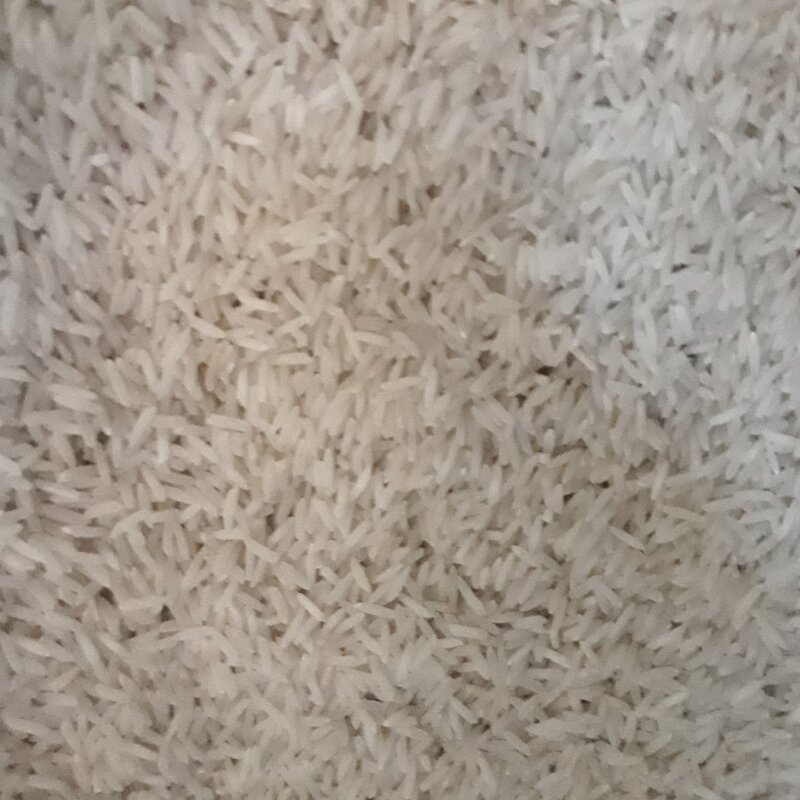 برنج هاشمی درجه یک 