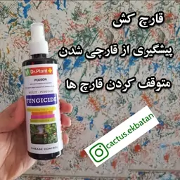 قارچکش 250 میلی لیتری آماده ترکیبی از 4 نوع قارچکش برای پیشگیری و درمان گیاهان شما