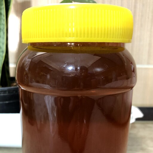 عسل طبیعی کنار 500 گرمی