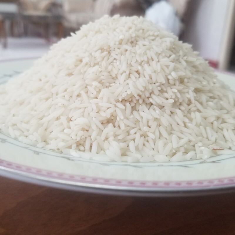 برنج  دشت مغان