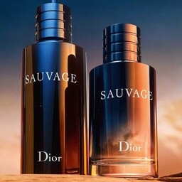 عطر  با رایحه ادکلن ساواج (ساواژ)  دیور  (SAUVAGE Dior) 20 گرمی  250000 تومان