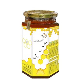 عسل 5 ستاره دانش احیا سلامت 