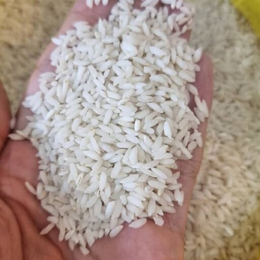 برنج ایرانی عنبربو رحمت امساله با کیفیت تضمینی 10 کیلویی  