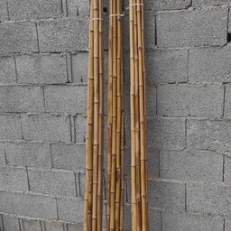 بامبو خشک شده بلند دسته 10 تایی (2متری)