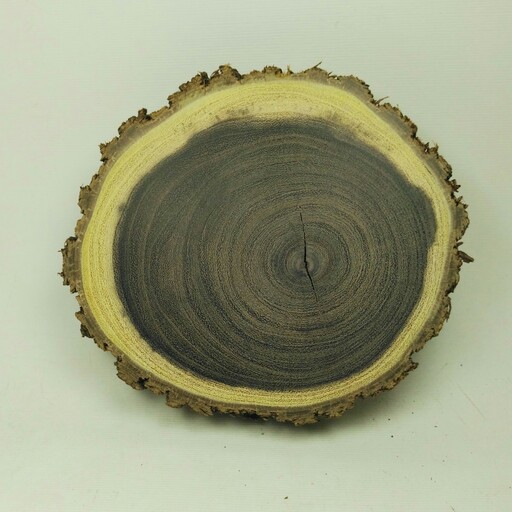 استند چوب  طبیعی برش کالباسی چوب اوکالیپتوس سیاه قطر 14سانت و ضخامت دو سانت کاملا خشک و سابیده و صیقلی شده 