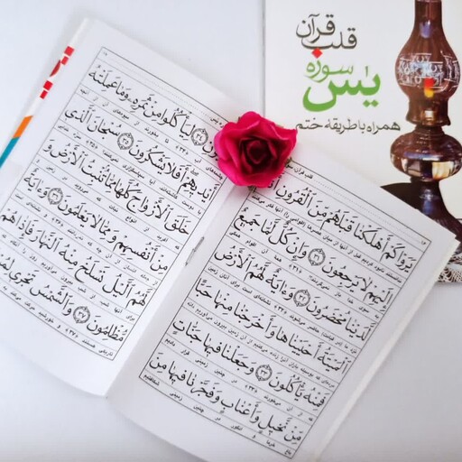 کتاب سوره یس قلب قرآن و طریقه ختم آن