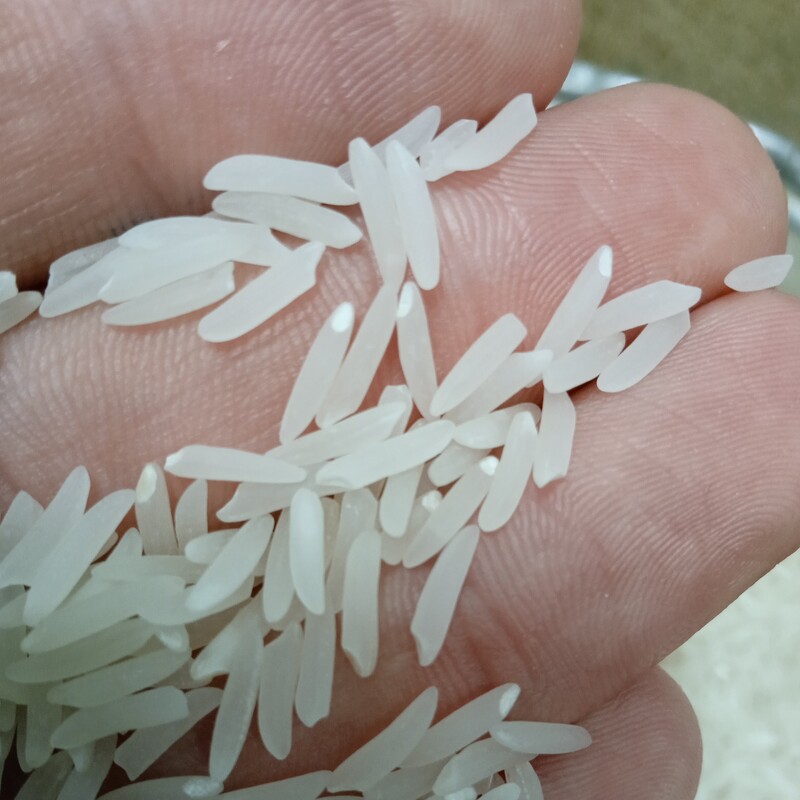 برنج فجر سوزنی  وزن به خواست مشتری  کیفیت بسیار بالا 
