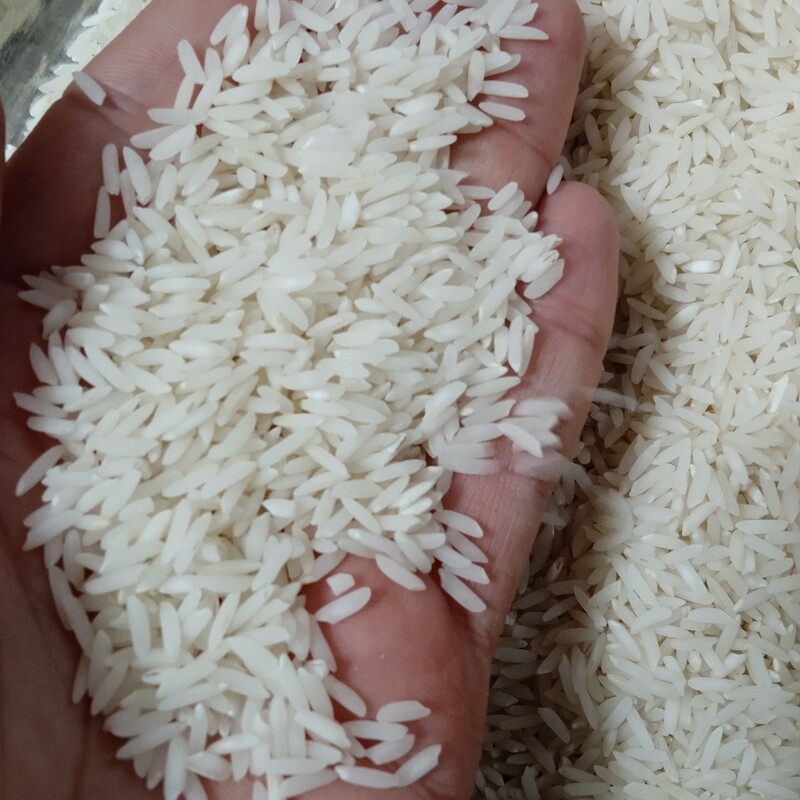 برنج طارم هاشمی عطری با تضمین صد درصد 