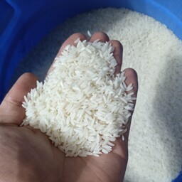 برنج طارم هاشمی مازندران عطری با طعم و پخت صد درصد تضمینی 