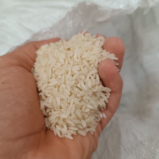 برنج لنجان اعلا خوش پخت و طعم (10کیلو گرم) درجه یک 
