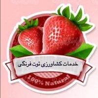 مجید جولانی