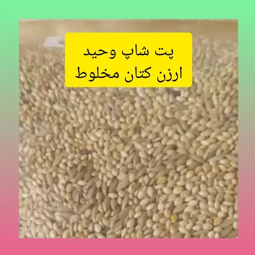 ارزن کتان مناسب تمامی پرندگان درجه یک 500گرمی 