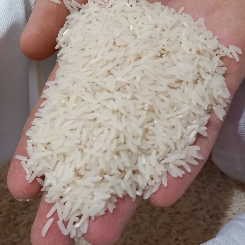 برنج فجر معطر و با طعم و پخت عالی،کشت 1401،خالص،(ارسال رایگان) آبیاری شده با آب زلال و شیرین شمال مستقیم از تولیدکننده