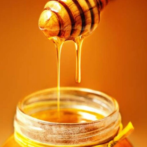 تستر عسل عسل 100 گرمی عسل صد گرمی عسل طبیعی چهل گیاه تست عسل تستر عسل  test    tester