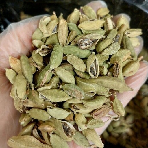 هل شکسته 100 گرمی درشت و معطر الماس کویر