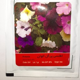 بذر گل اطلسی پرگل الوان شرکت آذرسبزینه پاکت خانگی(1گرم)وزن بابسته بندی 4 گرم