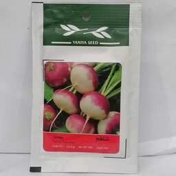 بذر شلغم ایرانی شرکت آذر سبزینه کد محصول  T21 درصد جوانه زنی 95 درصد
