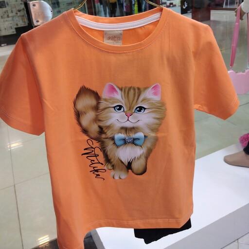 تیشرت شلوارک دخترانه بچگانه طرح گربه سایز45تا60 