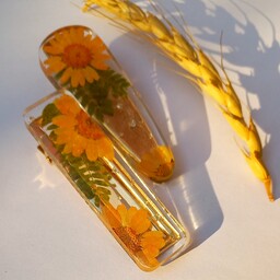 گلسر گل بابونه نارنجی و سرخس طبیعی 