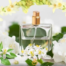 عطر گل مریم-یک گرم