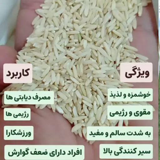 برنج قهوه ای رژیمی سبوس دار (10کیلویی)