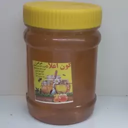 عسل گون اعلا 500 گرمی برگ سبز