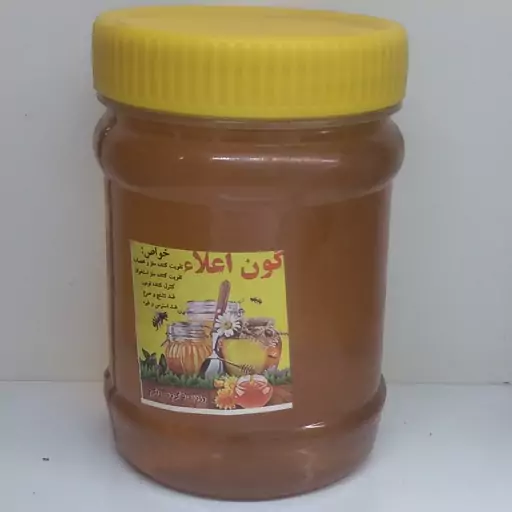 عسل گون اعلا 500 گرمی برگ سبز