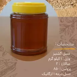 عسل گشنیز 1 کیلو گرمی ارگانیک درجه 1