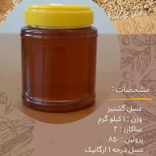 عسل گشنیز 1 کیلو گرمی ارگانیک درجه 1