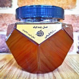 عسل چند گیاه طبیعی( 500گرمی)