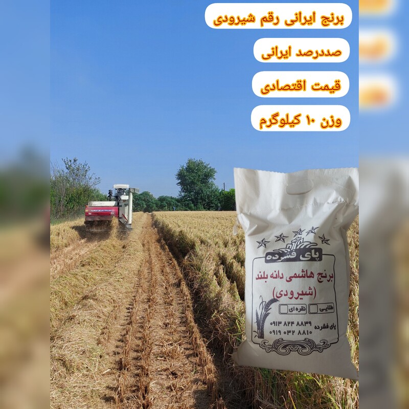 برنج هاشمی دانه بلندشیرودی 10 کیلویی به غیر از مناطق ازاد و جزایر