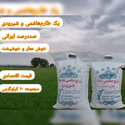 پک برنج طارم هاشمی اصیل و برنج شیرودی هاشمی دانه بلند 20 کیلویی برند پای فشرده