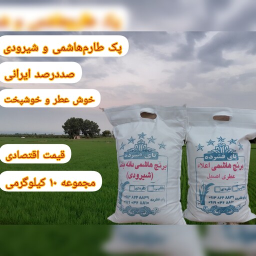 پک برنج طارم هاشمی اصیل و برنج شیرودی هاشمی دانه بلند 10 کیلویی برند پای فشرده