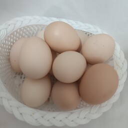تخم مرغ محلی ارگانیک بسته 15 عددی