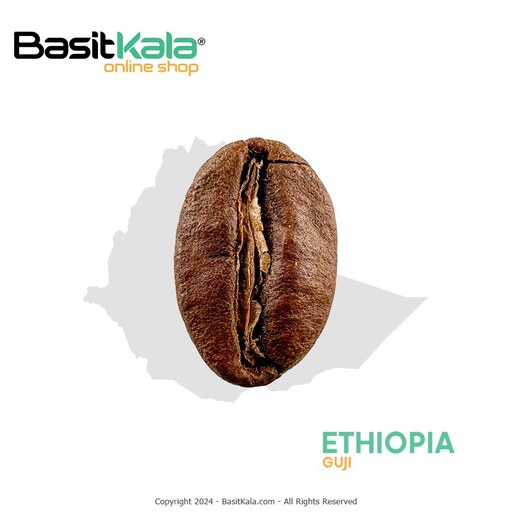 قهوه اتیوپی گوجی اودا شاکیسو موکا نچرال دستچین - عربیکا بسیط (5 کیلوگرم)