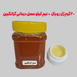 ژل رویال 20گرم نیم کیلو عسل طبیعی ارسال رایگان 