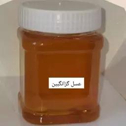 عسل گزانگبین  نیم کیلویی خرید از زنبوردار 