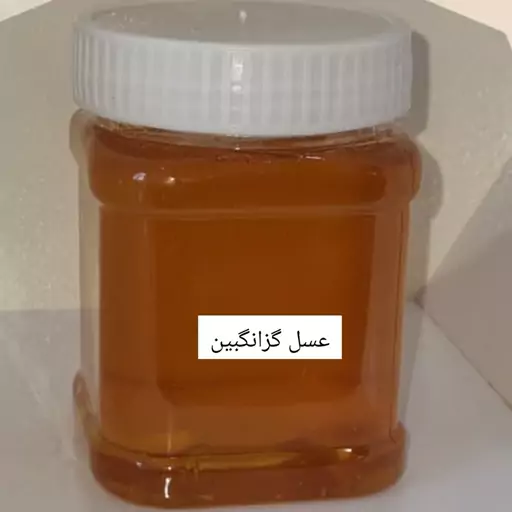 عسل گزانگبین  نیم کیلویی خرید از زنبوردار 