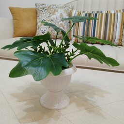 گل مصنوعی مشابه طبیعی گلدان پلاستیکی همراه شمشاد 7برگ فروشگاه کاج 