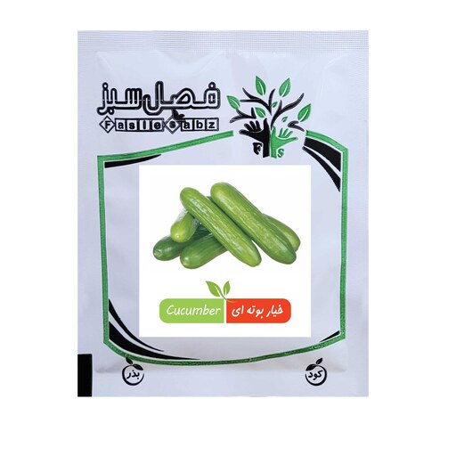 بذر خیار بوته ای فصل سبز کد SEED-100g-17