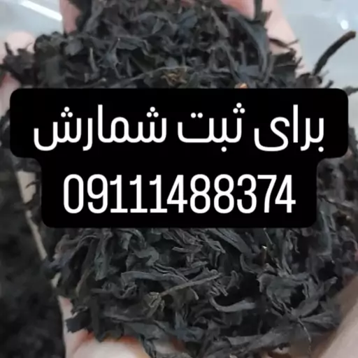 چای بهاره لاهیجان 