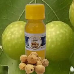 روغن مازو 60cc موسسه پژوهشی طبی بازرگانی سیمرغ (قابض و جمع و لیفت کننده پوست و رفع چروک پوست)